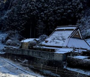 遅めの雪ですね。。。